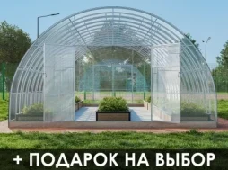Теплица «СЕВЕРНАЯ-ДД» 5м